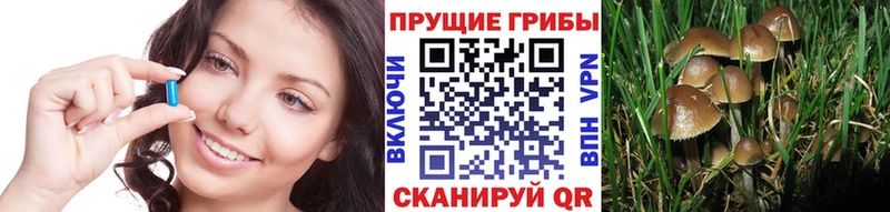 Галлюциногенные грибы ЛСД Солнечногорск